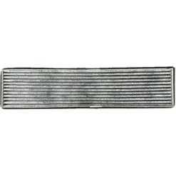 Aktivkohlefilter als Ersatz für Miele DKF18-P DKF 18 Active Air Clean Filter