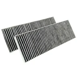 Aktivkohlefilter für Bora BAKFS Basic BHU/BIU/BFIU/GP4 (2 Stück)