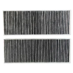 Aktivkohlefilter für Bora BAKFS Basic BHU/BIU/BFIU/GP4 (2 Stück)