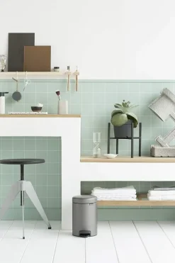 Brabantia Klassischer Tretmülleimer Mit Soft Verschluss 3 Liter HxBxT 26,4 x 16,8 x 23,5 cm Metall Platin