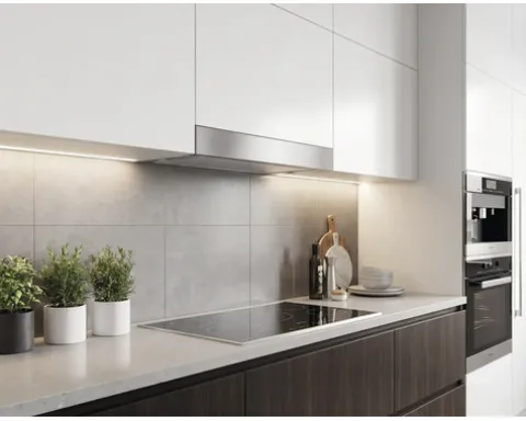 CENTA Flachschirmhaube TREVISO 60 IN BxT 60 x 31 cm edelstahl