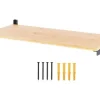 CENTA Regalboden REGULUS 600 x 280 mm bambus/schwarz