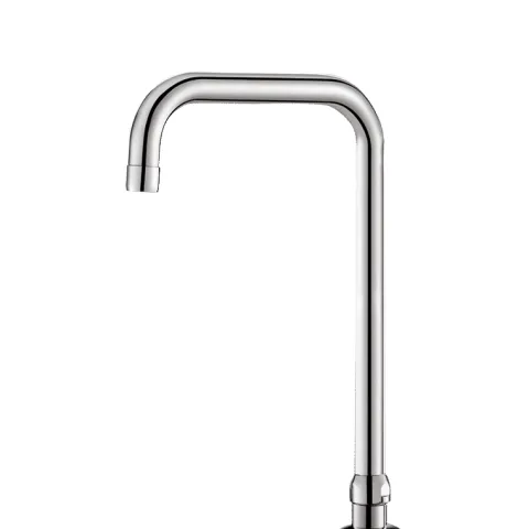 Delabie Schwenkauslauf D22 H140 L150mm