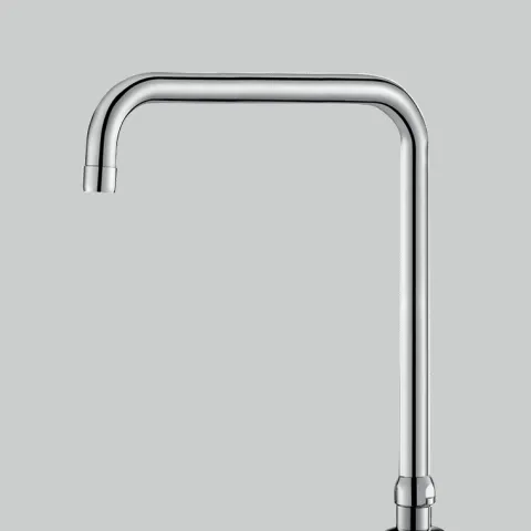 Delabie Schwenkauslauf D22 H260 L200mm