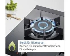 Domino Gaskochfeld Bosch 36 x 52,7 cm 2 Gasbrenner Glaskeramik-Oberfläche schwarz PRB3A6I40