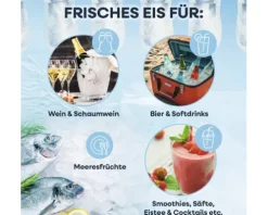 Eiswürfelmaschine Gourmet BxHxT 25,5 x 26,2 x 28,8 cm