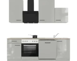 Flex Well Küchenzeile mit Geräten Lund 220 cm lichtgrau glänzend zerlegt Variante reversibel 00012693