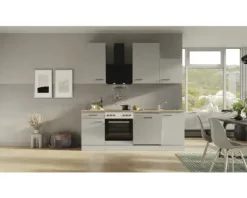 Flex Well Küchenzeile mit Geräten Lund 220 cm lichtgrau glänzend zerlegt Variante reversibel 00012693