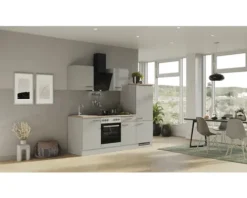 Flex Well Küchenzeile mit Geräten Lund 220 cm lichtgrau glänzend zerlegt Variante reversibel 00012696