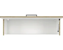 Flex Well Klapphängeschrank Cara BxTxH 100 x 32 x 32 cm eiche design matt zerlegt 00012576