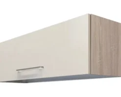 Flex Well Klapphängeschrank Nepal BxTxH 100 x 32 x 32 cm kaschmir glänzend zerlegt 00011203