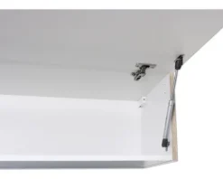 Flex Well Klapphängeschrank Nepal BxTxH 100 x 32 x 32 cm kaschmir glänzend zerlegt 00011203