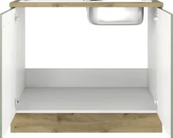 Flex Well Spülenschrank inkl Spüle Cara BxTxH 100 x 60 x 85 cm grün matt zerlegt 00012476