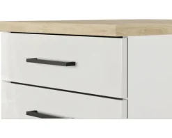 Flex Well Unterschrank mit Schublade und Drehtür Lund BxTxH 100 x 60 x 85 cm lichtgrau glänzend zerlegt Anschlag reversibel 00012208