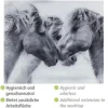 Glasrückwand Wenko Horses 60 x 50 cm