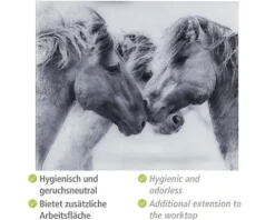 Glasrückwand Wenko Horses 60 x 50 cm