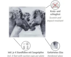 Glasrückwand Wenko Horses 60 x 50 cm