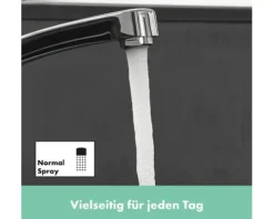 hansgrohe Küchenarmatur FOCUS M41 chrom 31806000