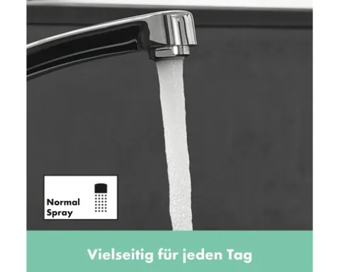 hansgrohe Küchenarmatur FOCUS M41 chrom 31806000