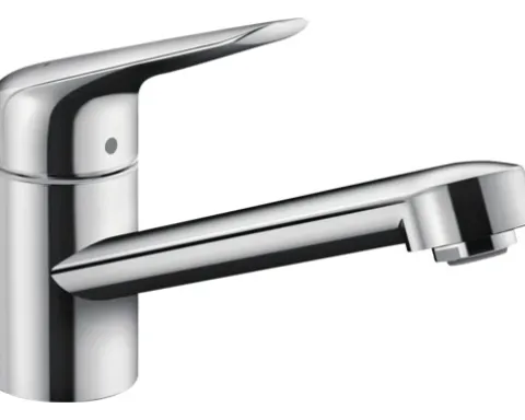 hansgrohe Küchenarmatur FOCUS 100 M42 Eco CoolStart chrom 71809000