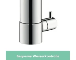 hansgrohe Küchenarmatur mit Geräteanschluss ZESIS chrom 74807000