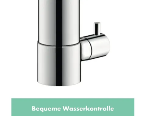 hansgrohe Küchenarmatur mit Geräteanschluss ZESIS chrom 74807000