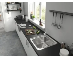 hansgrohe Küchenarmatur mit Handbrause FOCUS M42 chrom 71814000