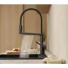 hansgrohe Küchenarmatur TALIS SELECT M54 POWDERSPRAY brushed black chrom gebürstet 72861340