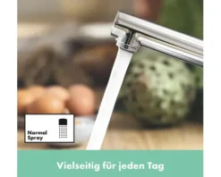 hansgrohe Küchenarmatur ZESIS M33 chrom 74805000