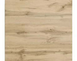 Held Möbel Hängeschrank PISA BxTxH 60 x 34 x 57 cm wildeiche matt zerlegt Anschlag reversibel 306.6310