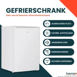 homeX Gefrierschrank Tiefkühlschrank klein 87L Nutzinhalt 4-Sterne Gefrieren kompakt und freistehend leise weiß