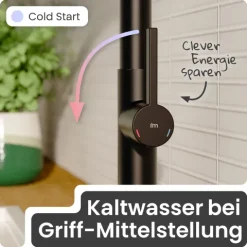 instmaier Cassia Niederdruck Spültischarmatur | Edelstahl| Küchenarmatur mit herausziebarem Auslauf
