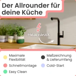 instmaier Cassia Niederdruck Spültischarmatur | Edelstahl| Küchenarmatur mit herausziebarem Auslauf