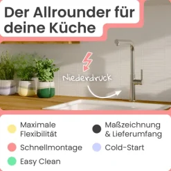 instmaier Cassia Niederdruck Spültischarmatur | Edelstahl| Küchenarmatur mit herausziebarem Auslauf