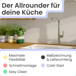 instmaier Cassia Spültischarmatur | Edelstahl| Küchenarmatur mit herausziebarem Auslauf