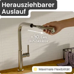 instmaier Cassia Spültischarmatur | Edelstahl| Küchenarmatur mit herausziebarem Auslauf