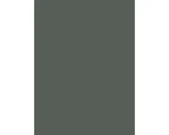 Küchenarbeitsplatte 25737 Verde 4100 x 635 x 38 mm | HORNBACH