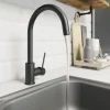 Küchenarmatur Lenz LIO schwarz matt 42040051