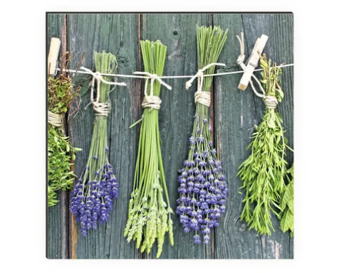 Küchenrückwand mySpotti Profix Kräuter der Provence 100 x 60 cm PX-10060-207-HB