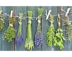 Küchenrückwand mySpotti Profix Kräuter der Provence 100 x 60 cm PX-10060-207-HB