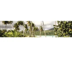 Küchenrückwand mySpotti Splash Palm Beach Strand 2800 x 600 mm SP-F2-1264