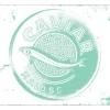 Küchenrückwand mySPOTTI pop Caviar aqua 59x41 cm