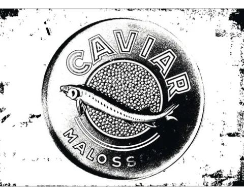 Küchenrückwand mySPOTTI pop Caviar black 59x41 cm