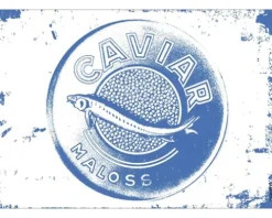 Küchenrückwand mySPOTTI pop Caviar blue 59x41 cm