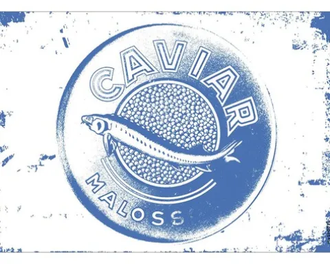 Küchenrückwand mySPOTTI pop Caviar blue 59x41 cm