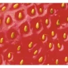 Küchenrückwand mySPOTTI pop Erdbeere 59x41 cm