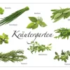 Küchenrückwand mySPOTTI pop Kräutergarten 59x41 cm