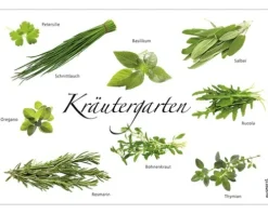 Küchenrückwand mySPOTTI pop Kräutergarten 59x41 cm