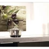 Küchenrückwand mySPOTTI pop Olivenzweig 59x41 cm