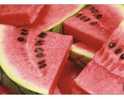 Küchenrückwand mySPOTTI pop Watermelon 59x41 cm